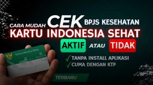 5 Cara Cek Status KIS Aktif atau Tidak, Lengkap dengan Solusi dan Penyebab Tiba-Tiba Nonaktif